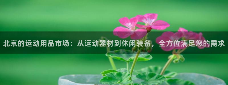 凯捷体育娱乐代理怎么样：北京的运动用品市场：从运动器