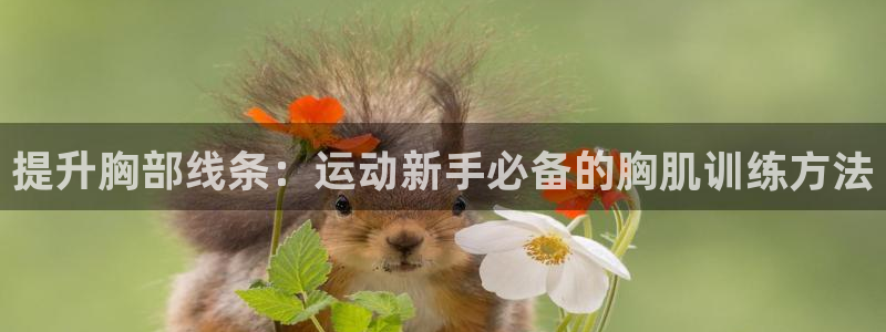 凯捷体育娱乐40996：提升胸部线条：运动新手必备的胸肌训练