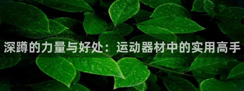凯捷体育新能源：深蹲的力量与好处：运动器材中的实用高手