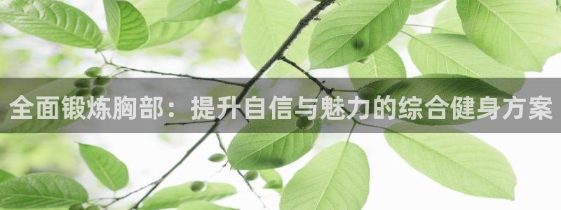 凯捷体育：全面锻炼胸部：提升自信与魅力的综合健身方案