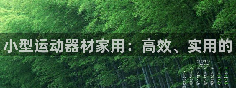 凯捷体育平台注册：小型运动器材家用：高效、实用的