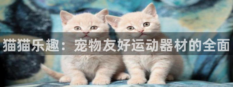 凯捷体育平台注册流程图：猫猫乐趣：宠物友好运动器材的全面