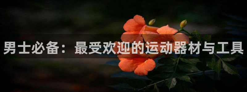 凯捷体育神州：男士必备：最受欢迎的运动器材与工具