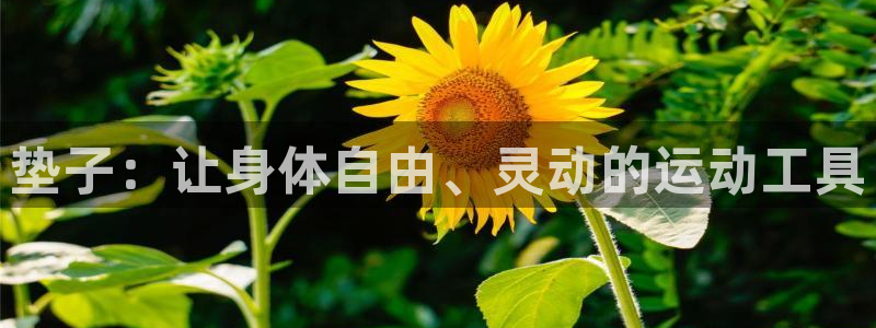 凯捷体育招商电话是多少啊：垫子：让身体自由、灵动的运动工具