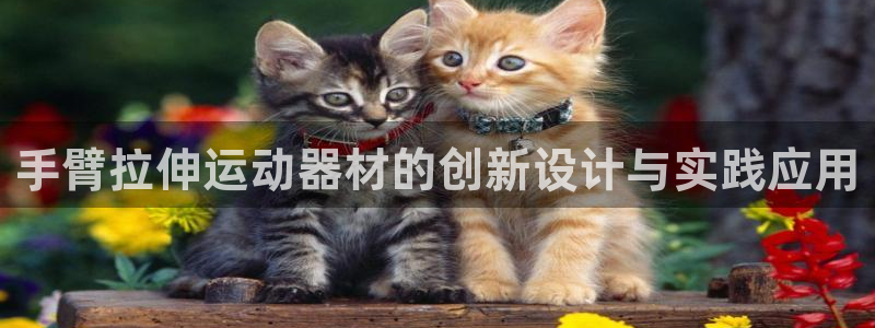 凯捷体育娱乐：手臂拉伸运动器材的创新设计与实践应用