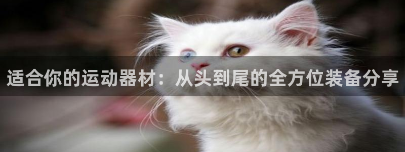 凯捷体育招商电话地址查询：适合你的运动器材：从头到尾