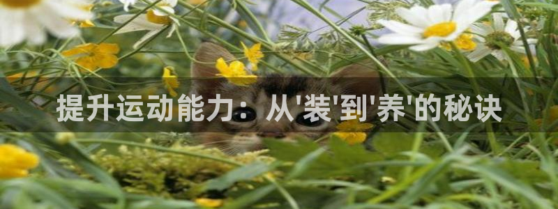 凯捷体育集团logo：提升运动能力：从\'装\'到\