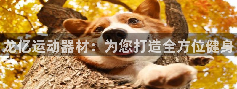 凯捷体育集团官网首页网址：龙亿运动器材：为您打造全方