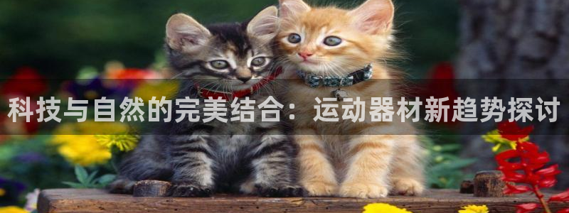 凯捷体育注册：科技与自然的完美结合：运动器材新趋势探